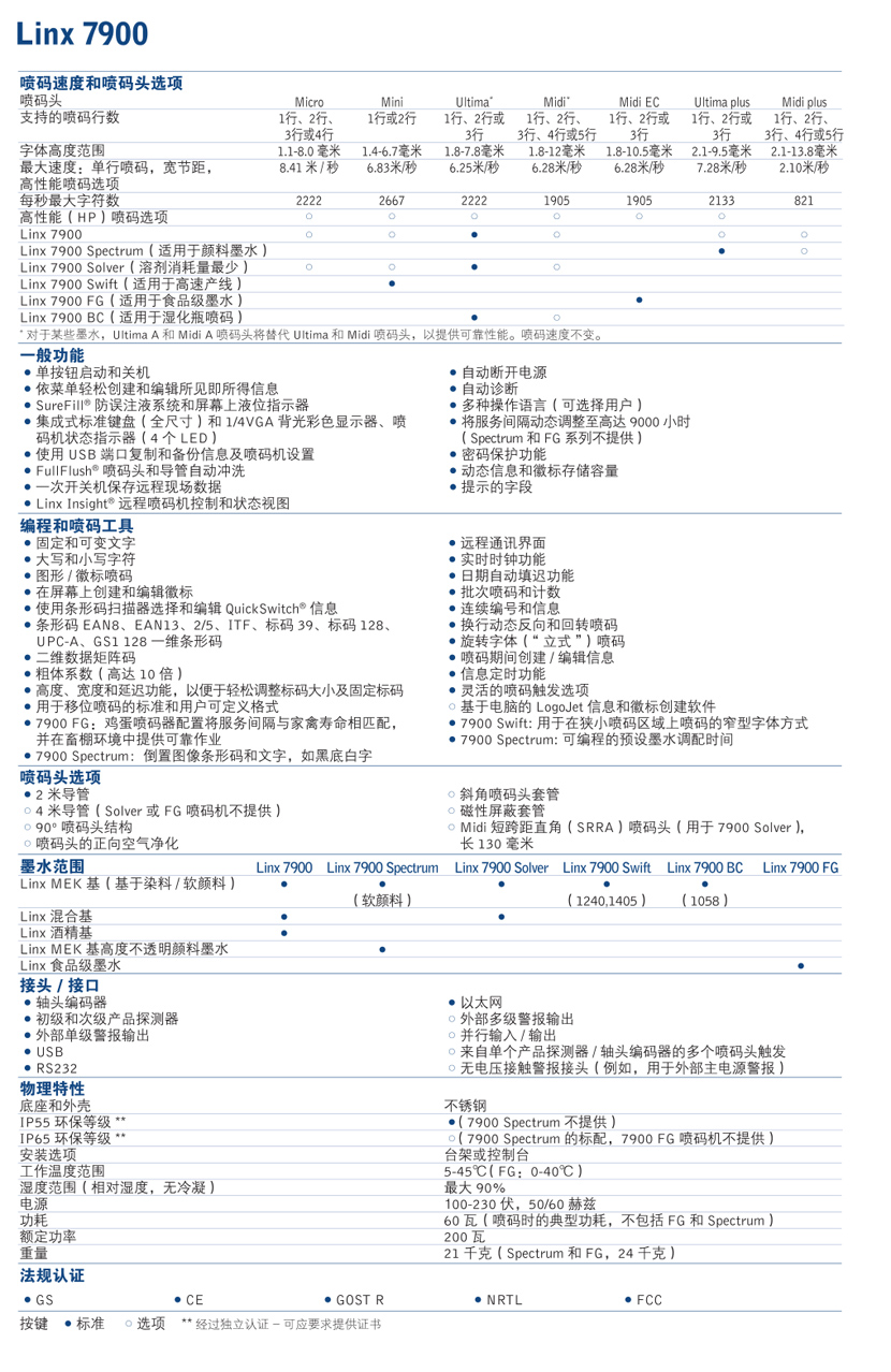 p10.jpg